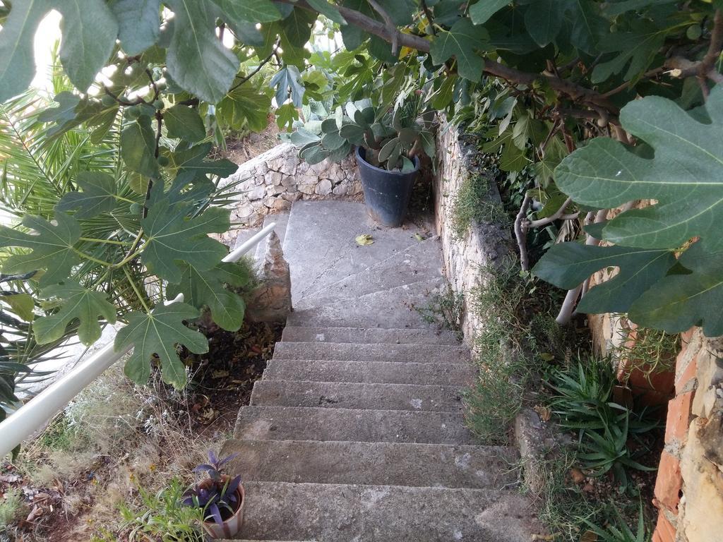 Apartmarin 特罗吉尔 外观 照片